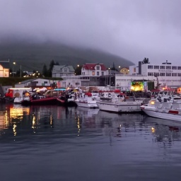 island rundreise 2025_46_